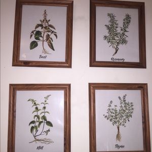 Herb prints and frame